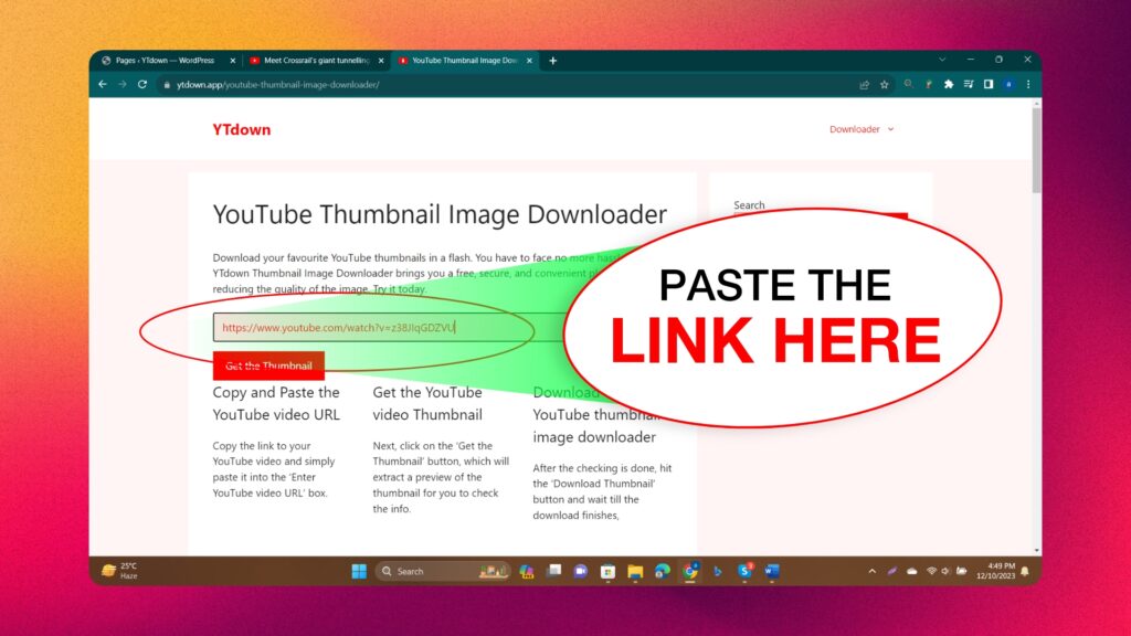 YouTube Thumbnail Image Downloader 02