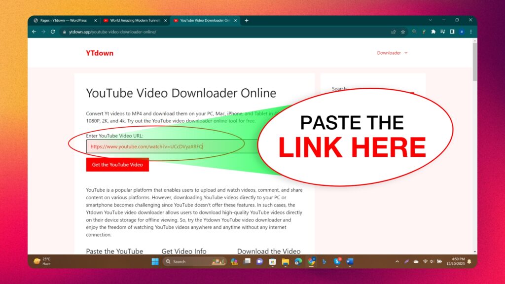 YouTube Video Downloader Online 02