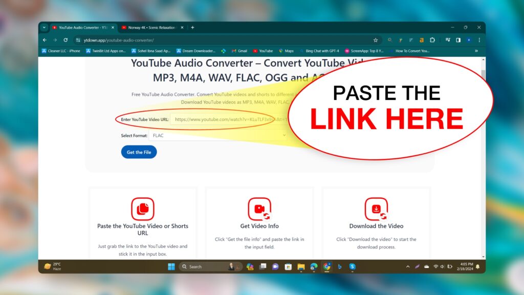 Paste the YouTube video URL